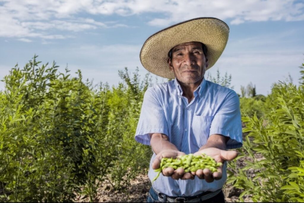 D A Del Campesino Retos Del Sector Agr Cola En La Llegada Del