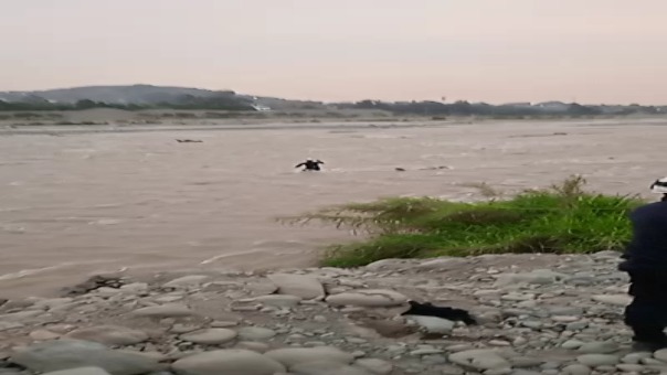 Chosica: Un sereno desaparecido y dos personas murieron tras ser arrastradas por el río Rímac