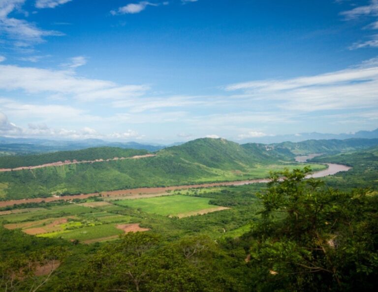 UCAYALI: CON SATÉLITE SUPERVISAN DEFORESTACIÓN DE BOSQUES