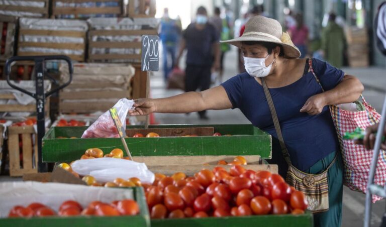 PRECIOS SEGUIRÁN AL ALZA HASTA EL 2024, SEGÚN BANCO MUNDIAL