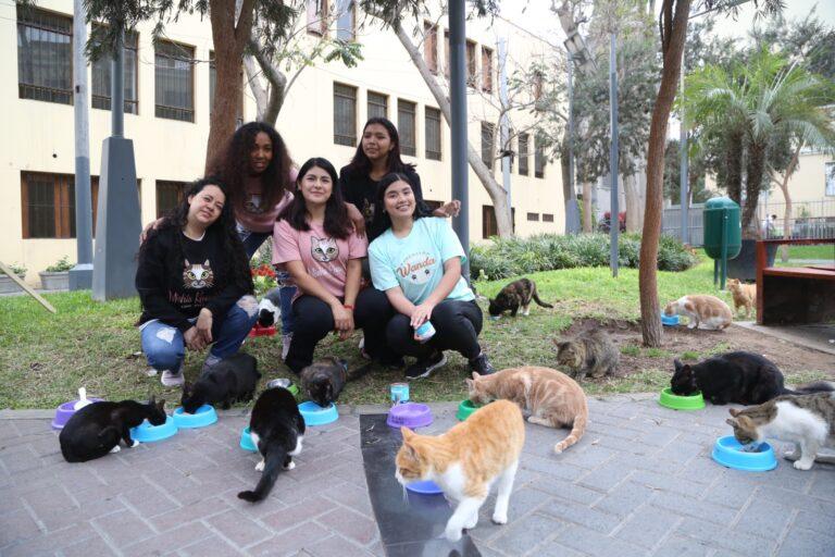 Miraflores invita al Gato Fest Kennedy que promoverá adopciones de ‘michis’ y presentará sorpresas para catlovers