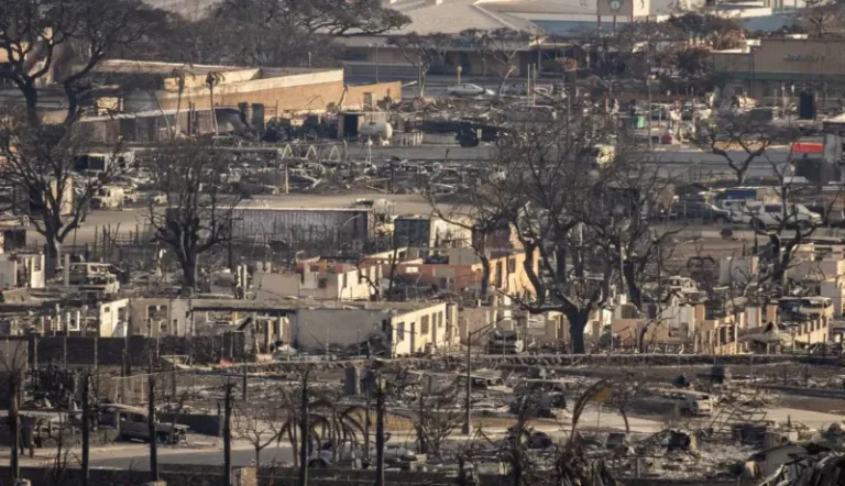 ¡Siguen buscando víctimas! La tragedia de los incendios en Hawái supera los 100 muertos