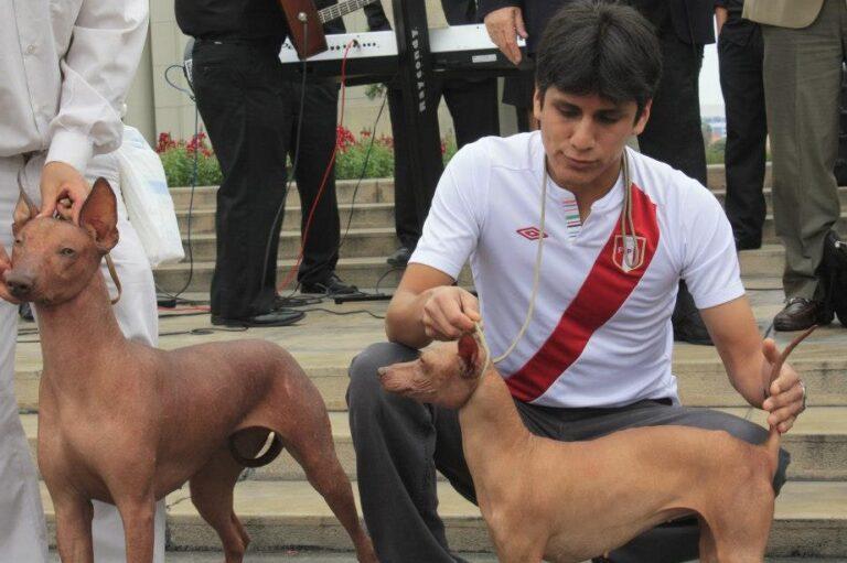 Día de la mascota: Este domingo 24 se realizará campaña veterinaria en el Circuito Mágico del Agua