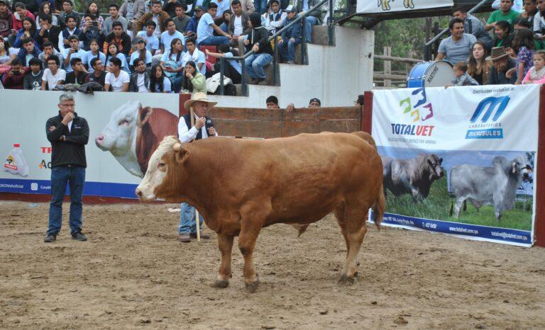 MIDAGRI: Más del 35% de descuento en carne de res en concurso nacional de ganado vacuno