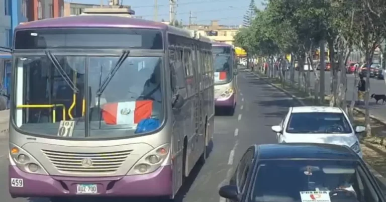 Corredor Morado: Caravana de 150 buses transitaron desde SJL a Cercado de Lima para protestar ante el MTC