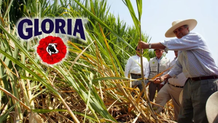 Indecopi no autorizó que el Grupo Gloria adquiera la empresa fabricante de azúcar doméstica Agrícola del Chira