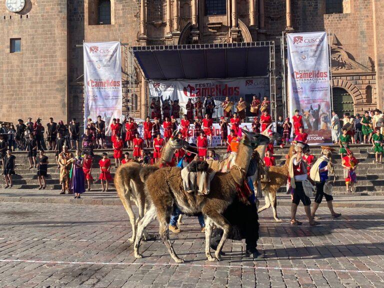 «Festicamélidos»: MIDAGRI participa en lanzamiento de gran fiesta nacional en la ciudad imperial del Cusco