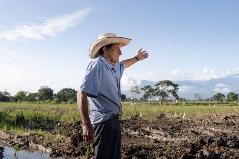 Día Mundial de la Agricultura: tendencias y prácticas para impulsar el sector