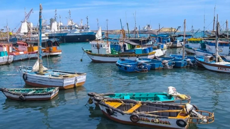 Autorizan reinicio de pesca de pejerrey desde el 27 de octubre y amplían límite de captura de anchoveta