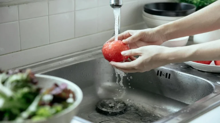 Descubren bacterias resistentes a antibióticos en el agua de riego del río Rímac