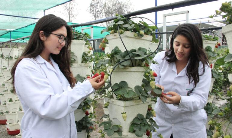 Universidad Agragia presentará proyecto sobre uso de IA para mejorar producción