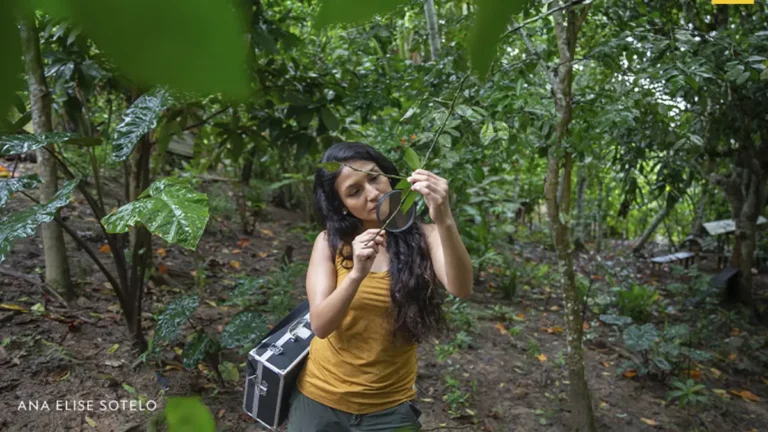 Rosa Vásquez Espinoza, la única peruana en el Top 100 Mujeres de la BBC 2024