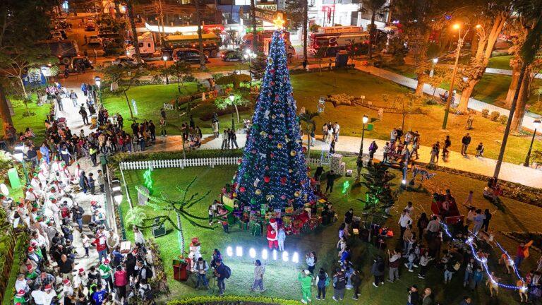 Luz y magia: Celebramos el encendido del árbol de Navidad en la Villa del Sol