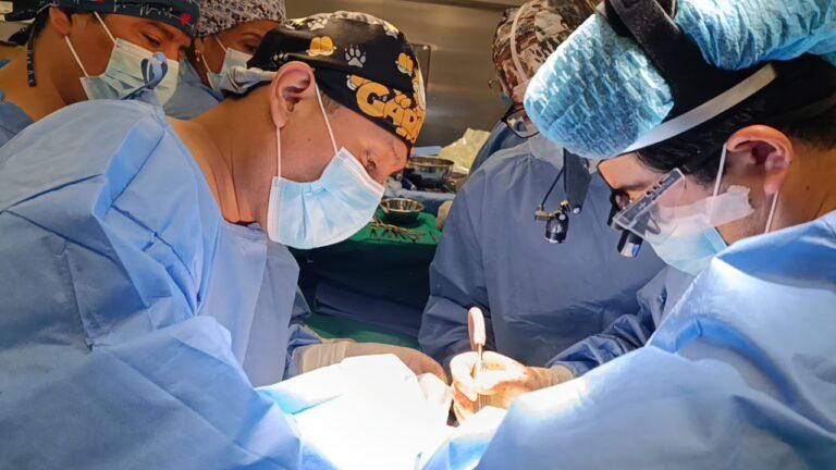 Cirujanos cardiovasculares realizan primera operación de cambio de válvula mitral del corazón en Hospital Central PNP