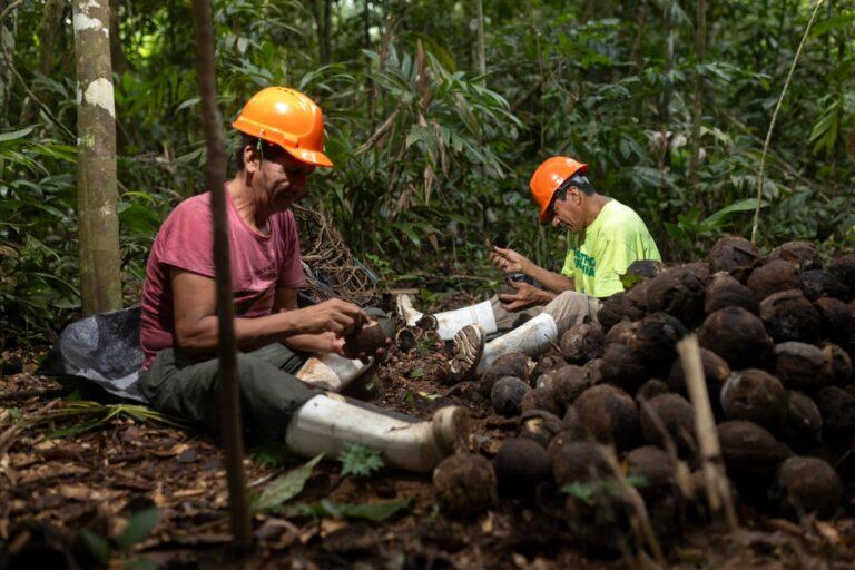 Madre de Dios: Apoyo psicosocial fortalece a Castañeros y la protección de los bosques